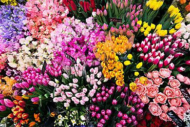 《小骨：英雄杀手》推出新DLC“神话包”全新内容上线